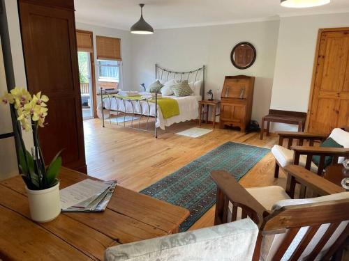 Ixia studio Serene solar pet friendly garden and valley views — 4-Star Luxury Hotel in Cape Town, South Africa