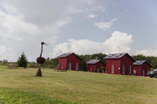 Ambro Krasts - last minute hotel in Unknown City