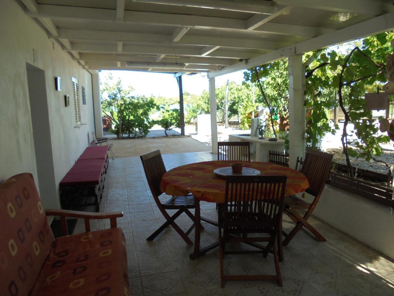 Silence of the Birds in Olhao, Portugal