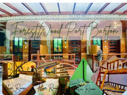 Forest wood Port Barton in San Vicente, Philippines