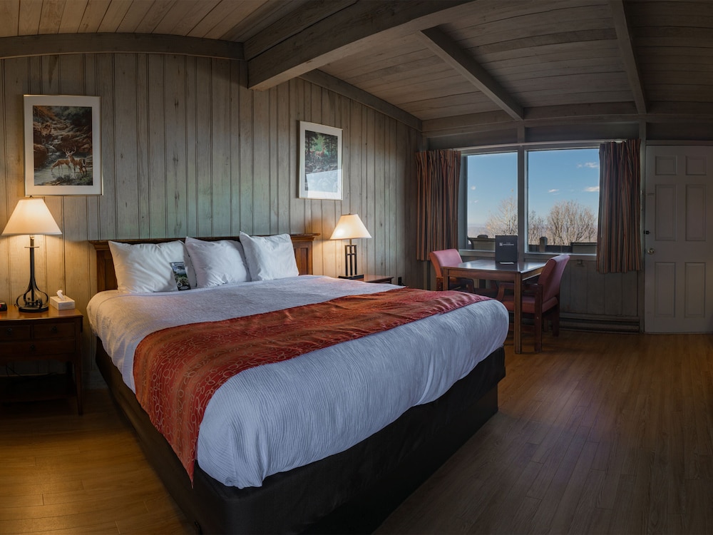 Skyland Resort - photo 6