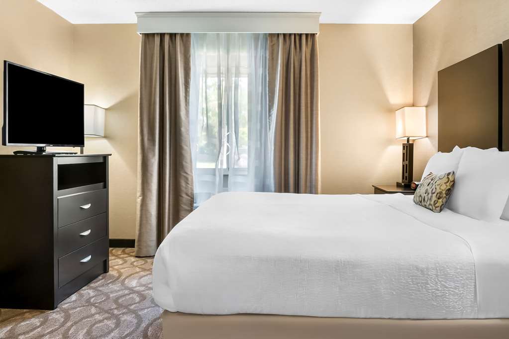 Best Western Okemos East Lansing Hotel & Suites - photo 28