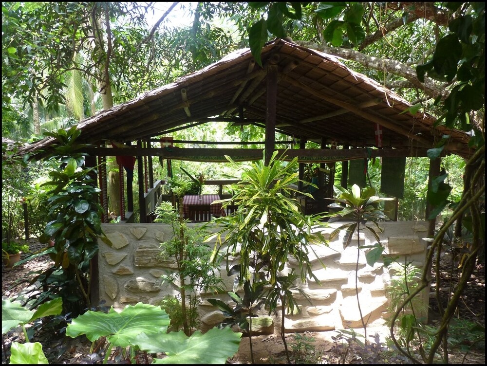 Mangrove Resort - last minute hotel in Puerto Princesa
