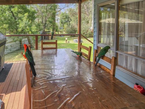 Settlement Lodge — Mount Buller — photo 3
