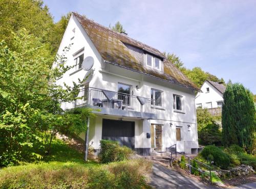 Die Hammerhutte — Willingen