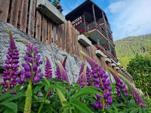 Hotel Derby - carbon neutral hotel in Fiesch