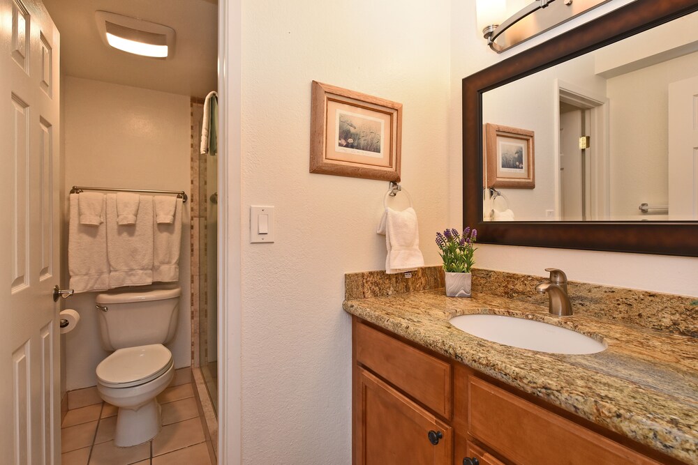 Royal Kahana 413 - photo 15
