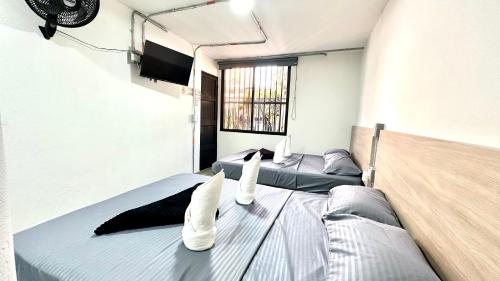 Sinu Loft - carbon neutral hotel in Medellin