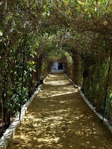 Goroomgo Sukha Place Ajmer in Ajmer, India