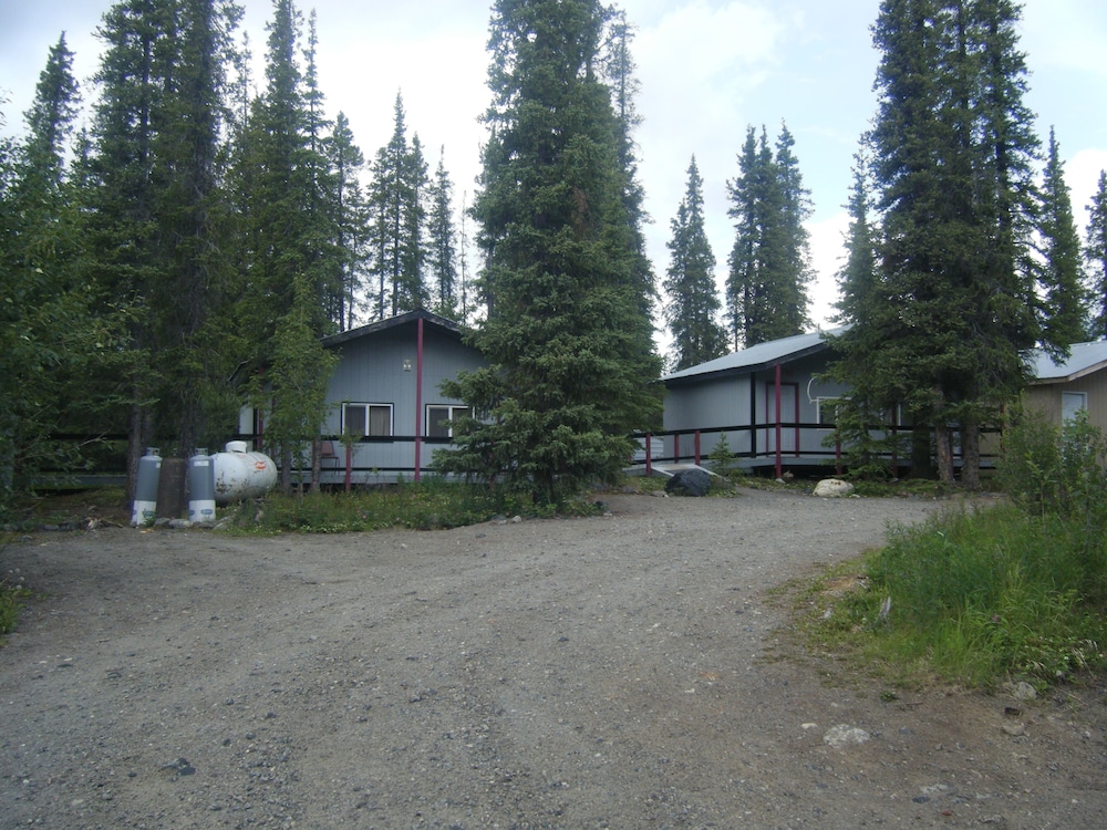 Denali Perch Resort - photo 39