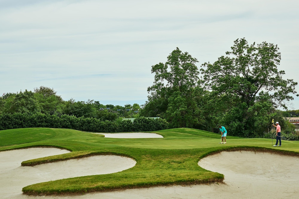 The Westin Savannah Harbor Golf Resort & Spa - photo 61