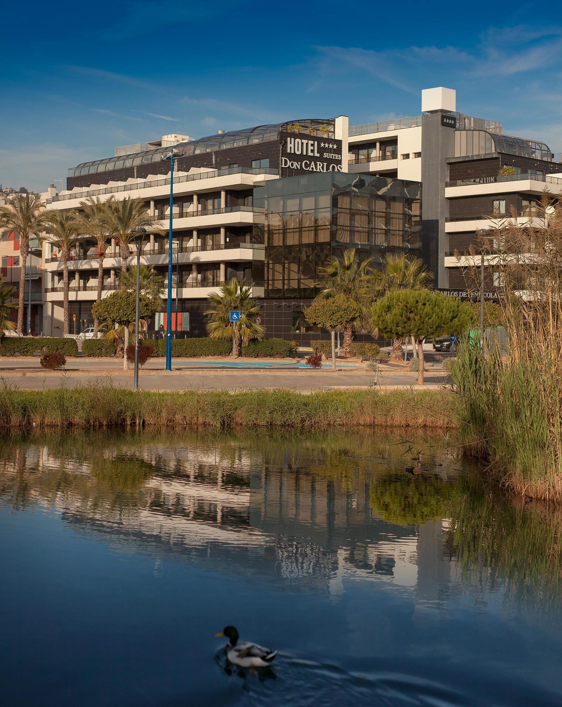RH Don Carlos - last minute hotel in Peniscola