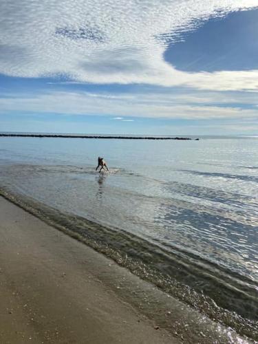 Hebergement Les Pieds Dans L'eau - last minute hotel in Unknown City