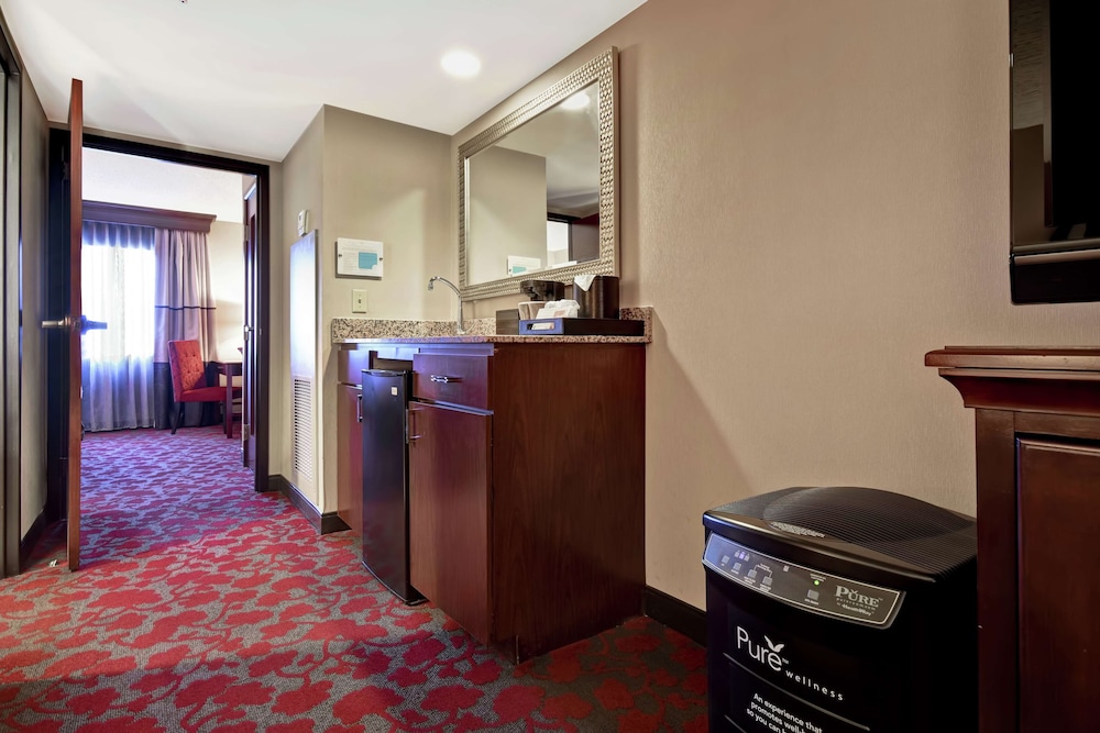 Embassy Suites by Hilton Dulles Airport - photo 27