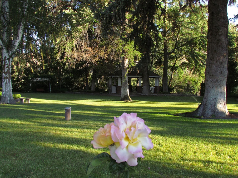 Warm Springs Inn & Winery - photo 91