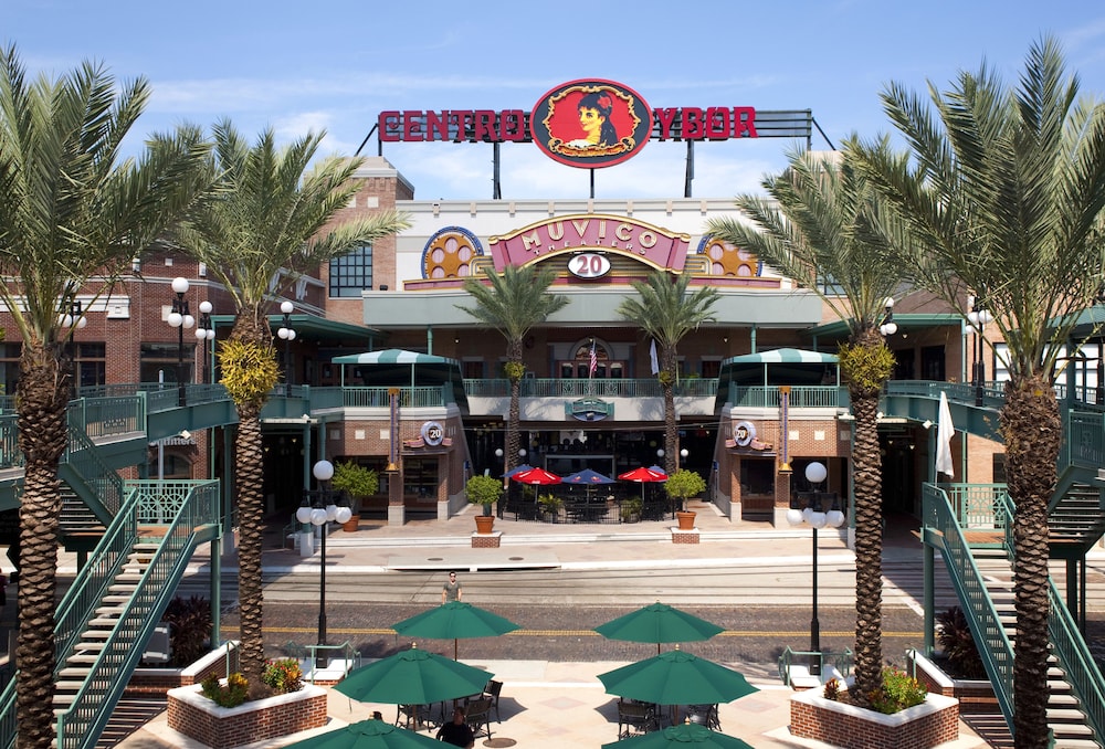 Hampton Inn & Suites Tampa East - photo 47