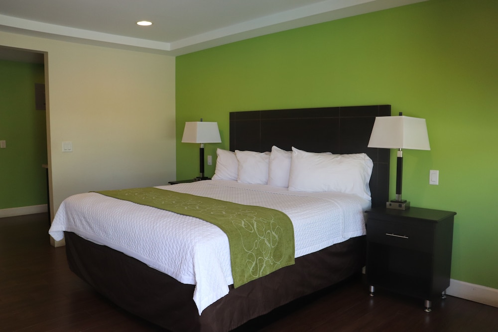 Curtis Inn & Suites - photo 9