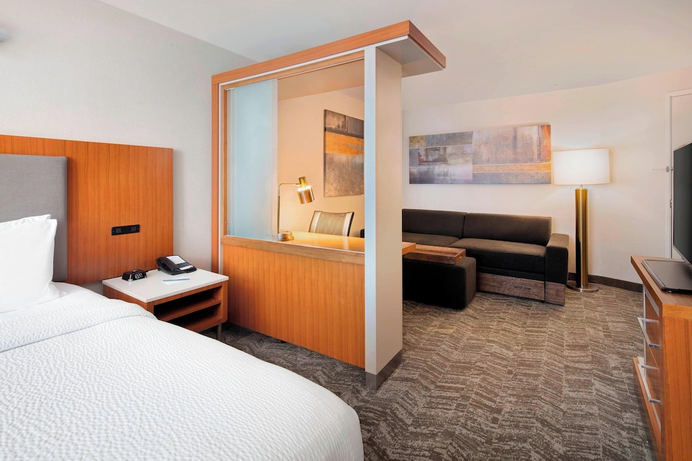 SpringHill Suites by Marriott Indianapolis Downtown - photo 9