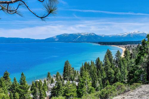 Hounds Of Aspen — South Lake Tahoe