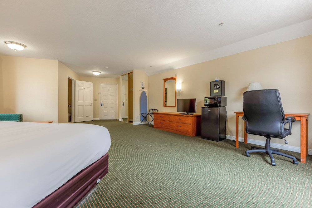Hotel Avenida San Clemente Beach - photo 16