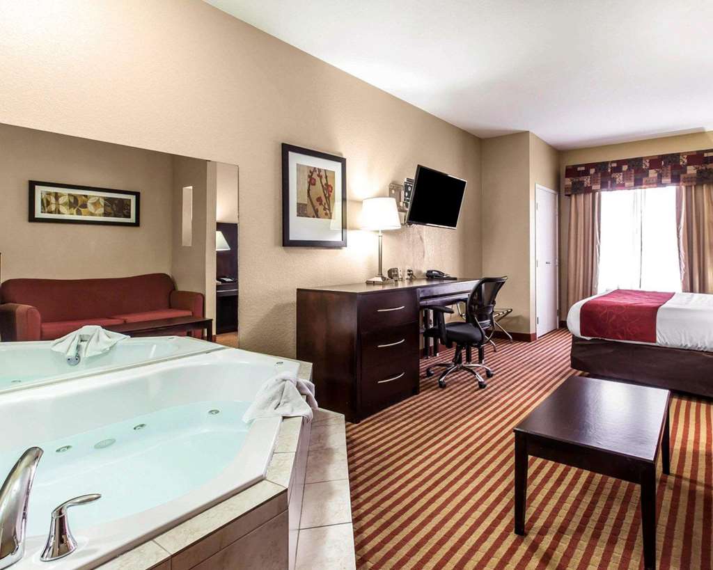 Comfort Suites Waycross - photo 14