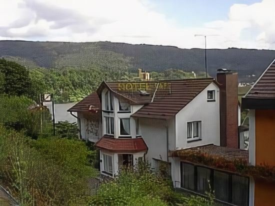 Vierburgeneck — Neckarsteinach — photo 3