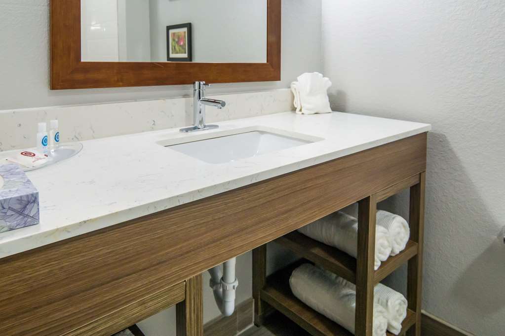 Comfort Suites DeSoto Dallas South - photo 36