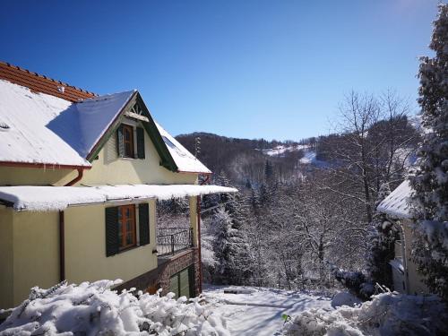 Vadrózsa Vendégház - last minute hotel in Unknown City