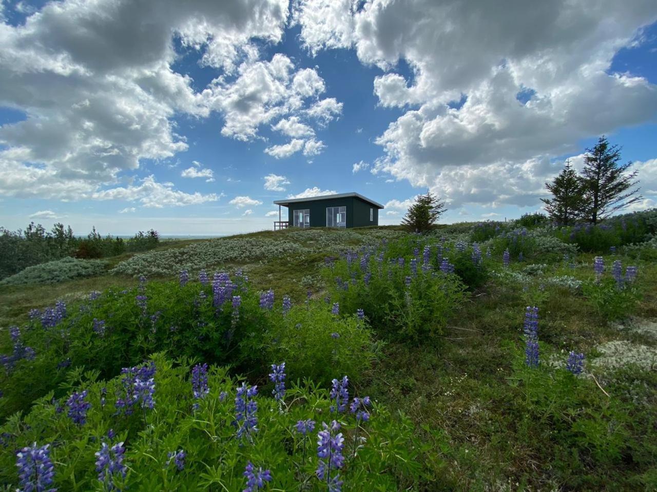 Skeiðvellir Panorama house