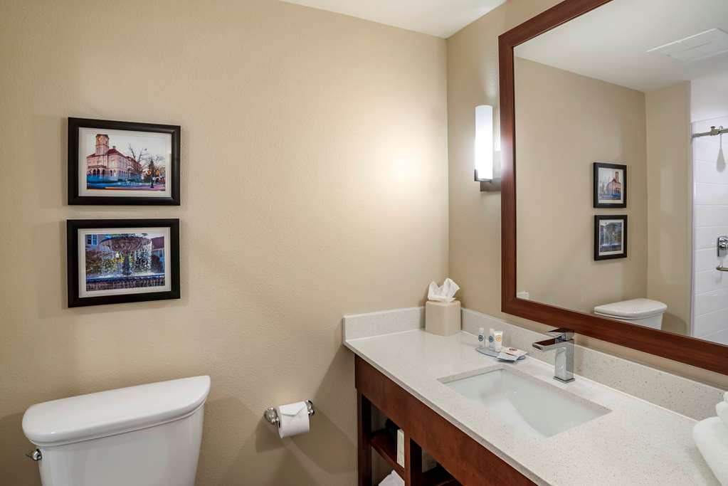 Comfort Inn & Suites Harrisonburg - photo 11