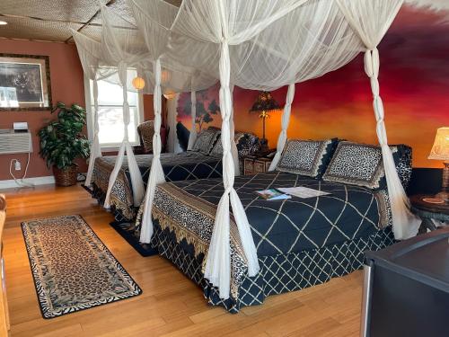 Mountain Quest Inn - photo 69