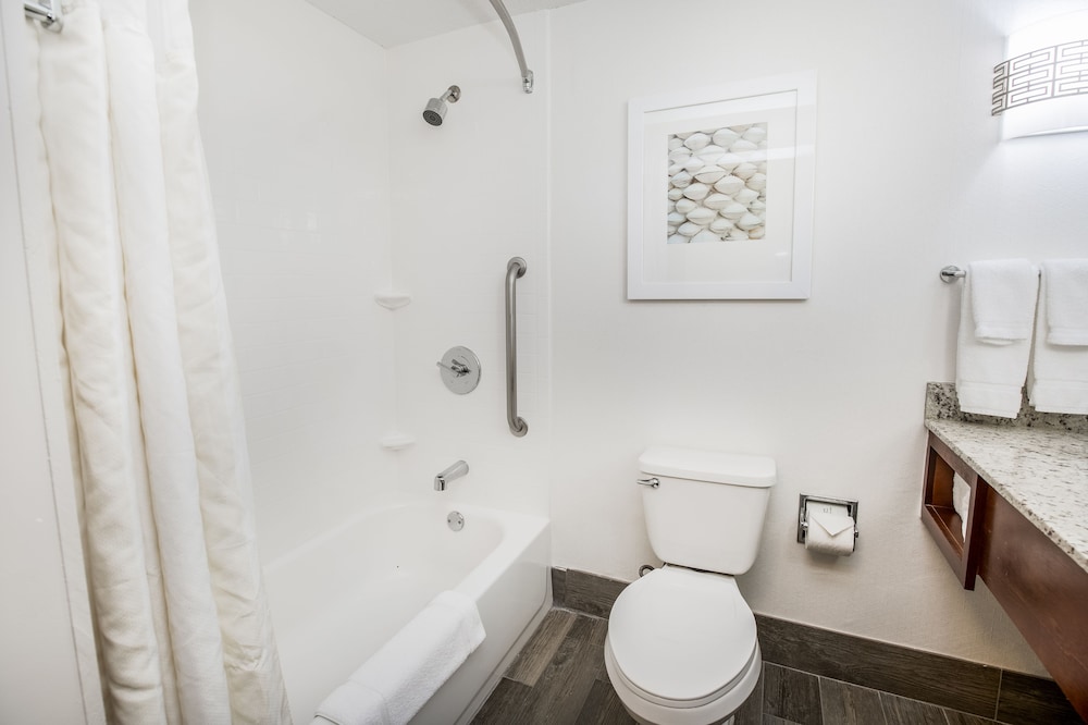Hilton Garden Inn Orange Beach Beachfront - photo 58