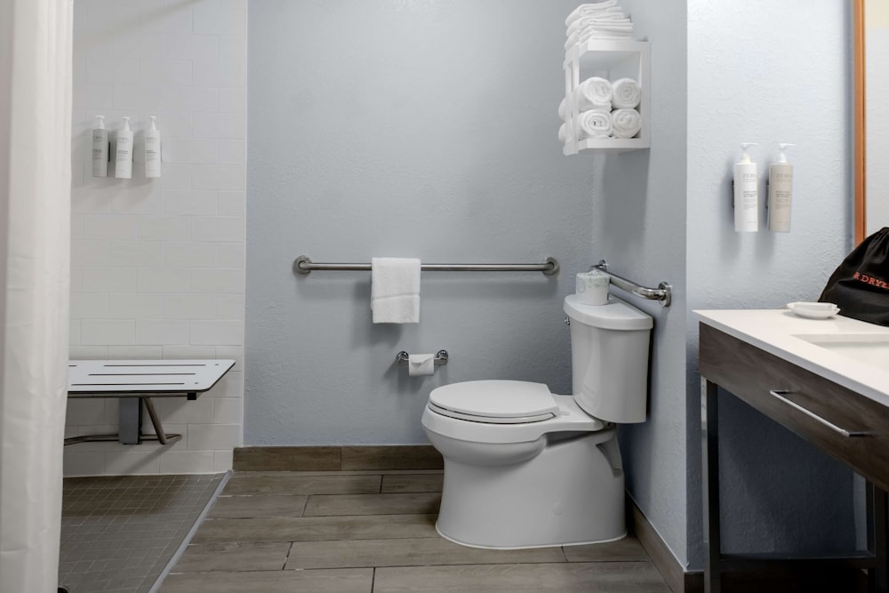 Hampton Inn Sarasota I 75 Bee Ridge - photo 8