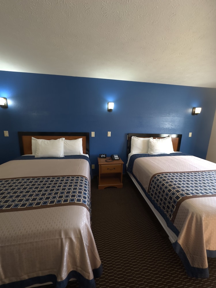 Eco Lux Inn - photo 5