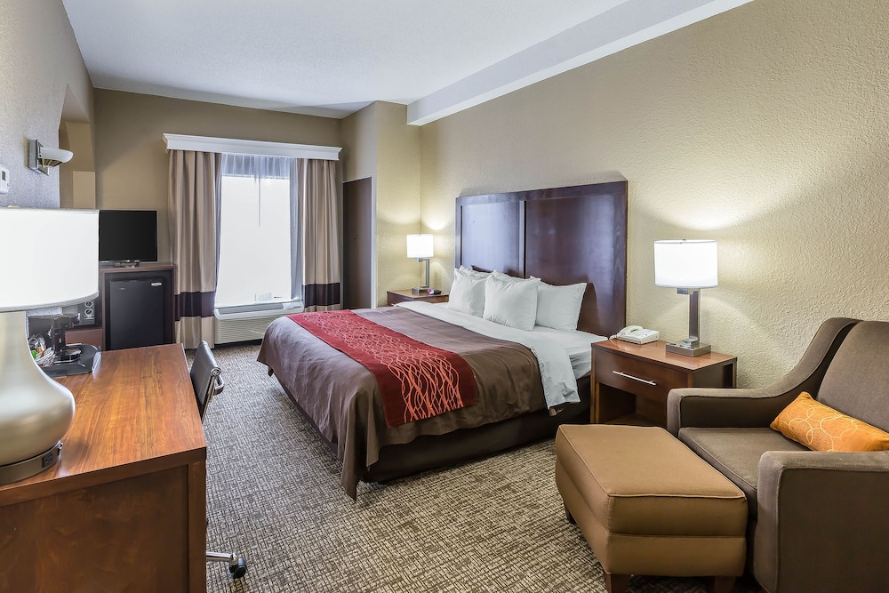 Comfort Inn South Kingsport - photo 4