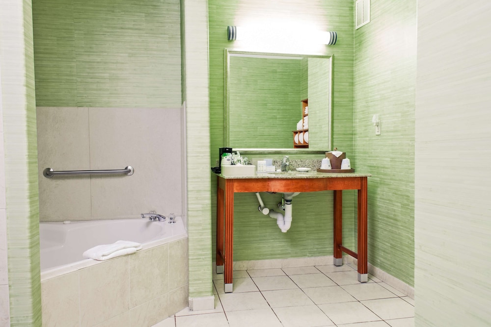 Hampton Inn & Suites Harlingen - photo 14