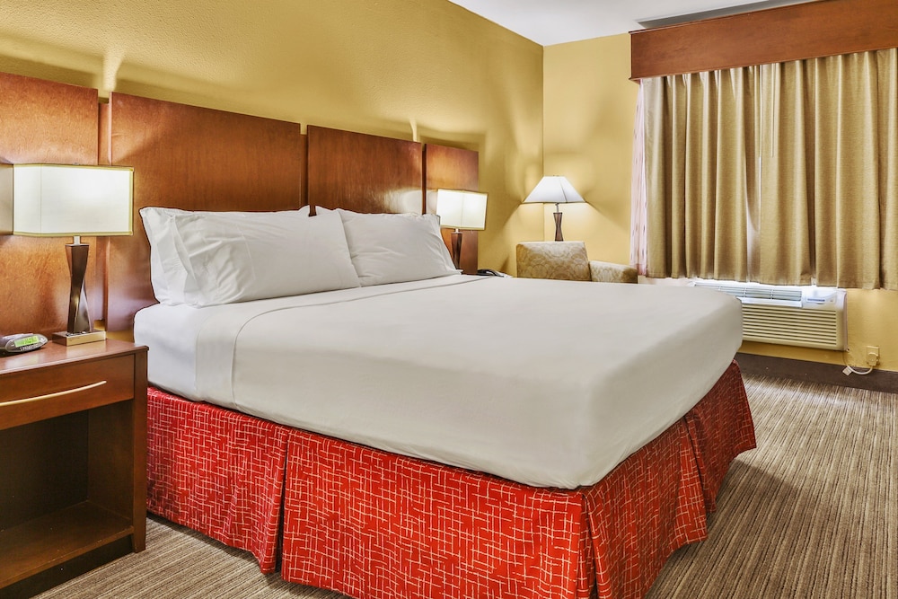 Holiday Inn Express & Suites Houston South near Pearland by IHG - photo 11