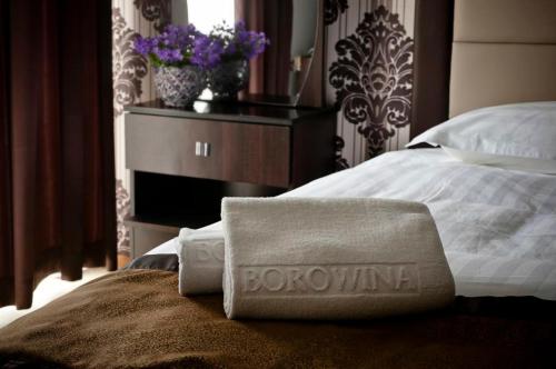Hotel Borowina — hotel in Konstancin-Jeziorna