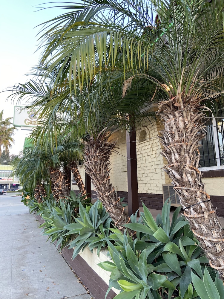 El Patio Inn Near Universal Studios Hollywood - photo 52