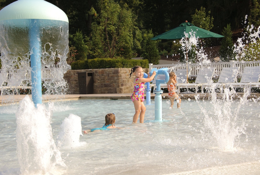The Omni Homestead Resort & Spa - photo 43