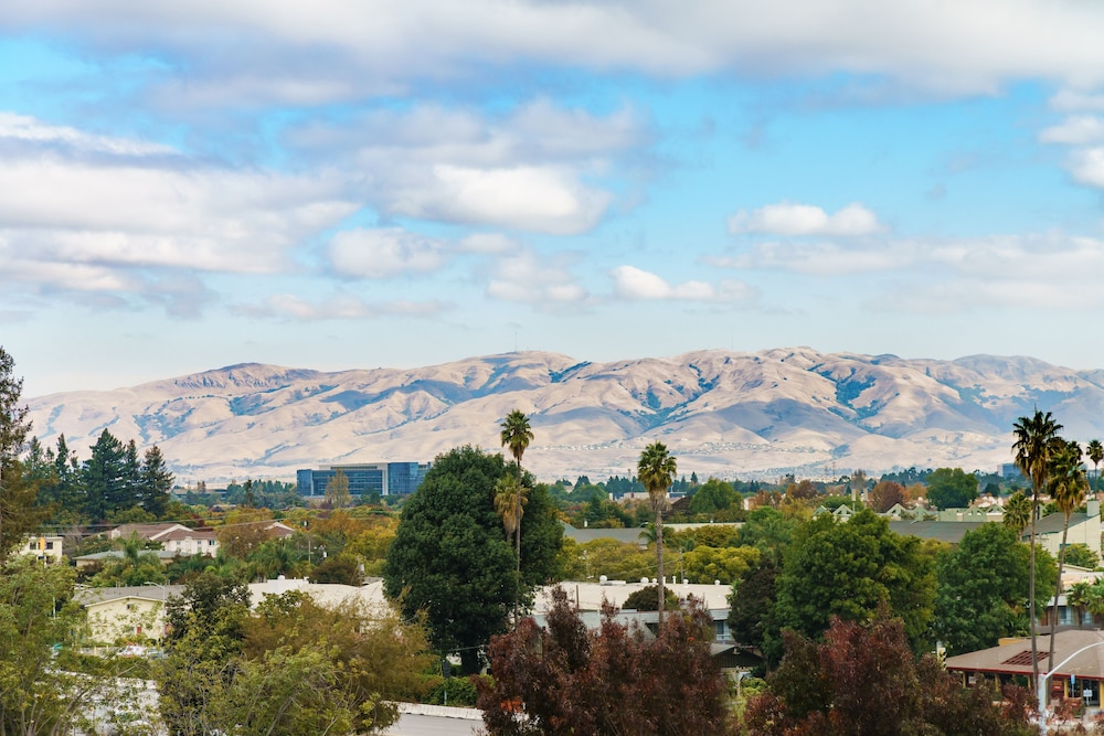 Hilton Garden Inn Sunnyvale - photo 49