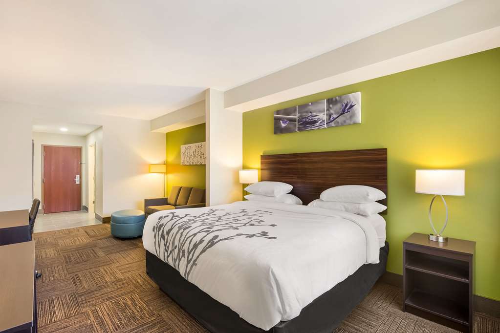 Sleep Inn & Suites North Mobile Saraland - photo 26