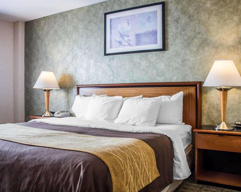Comfort Inn Brooklyn - photo 12