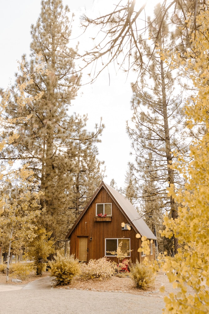 Chalet View Lodge - photo 19