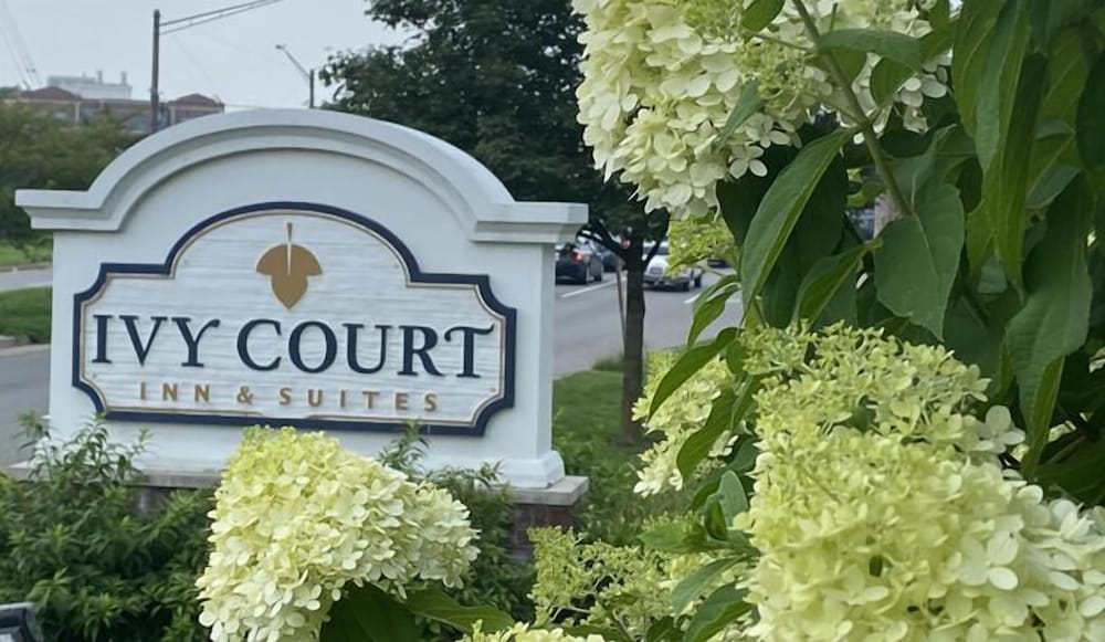 Ivy Court Inn & Suites - photo 41