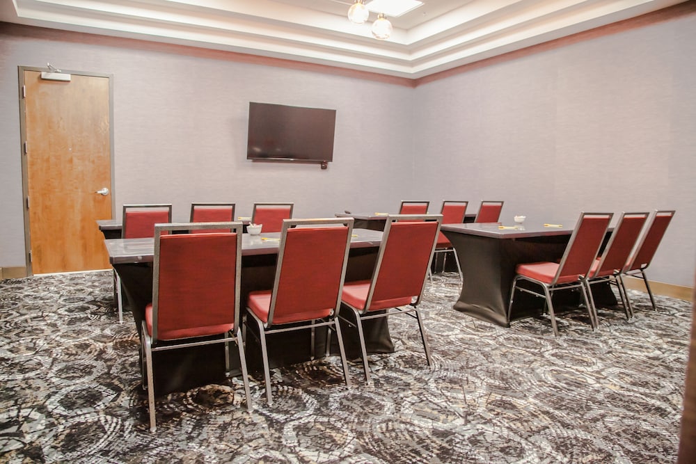 Hilton Garden Inn Tampa Suncoast Parkway - photo 58