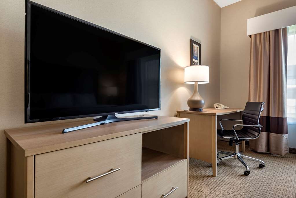 Comfort Inn & Suites Farmington Victor - photo 14