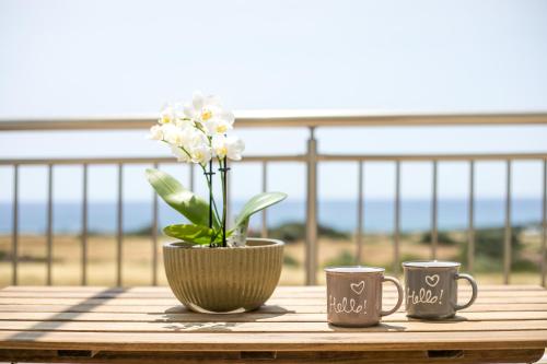 Bless View Studios - carbon neutral hotel in Unknown City