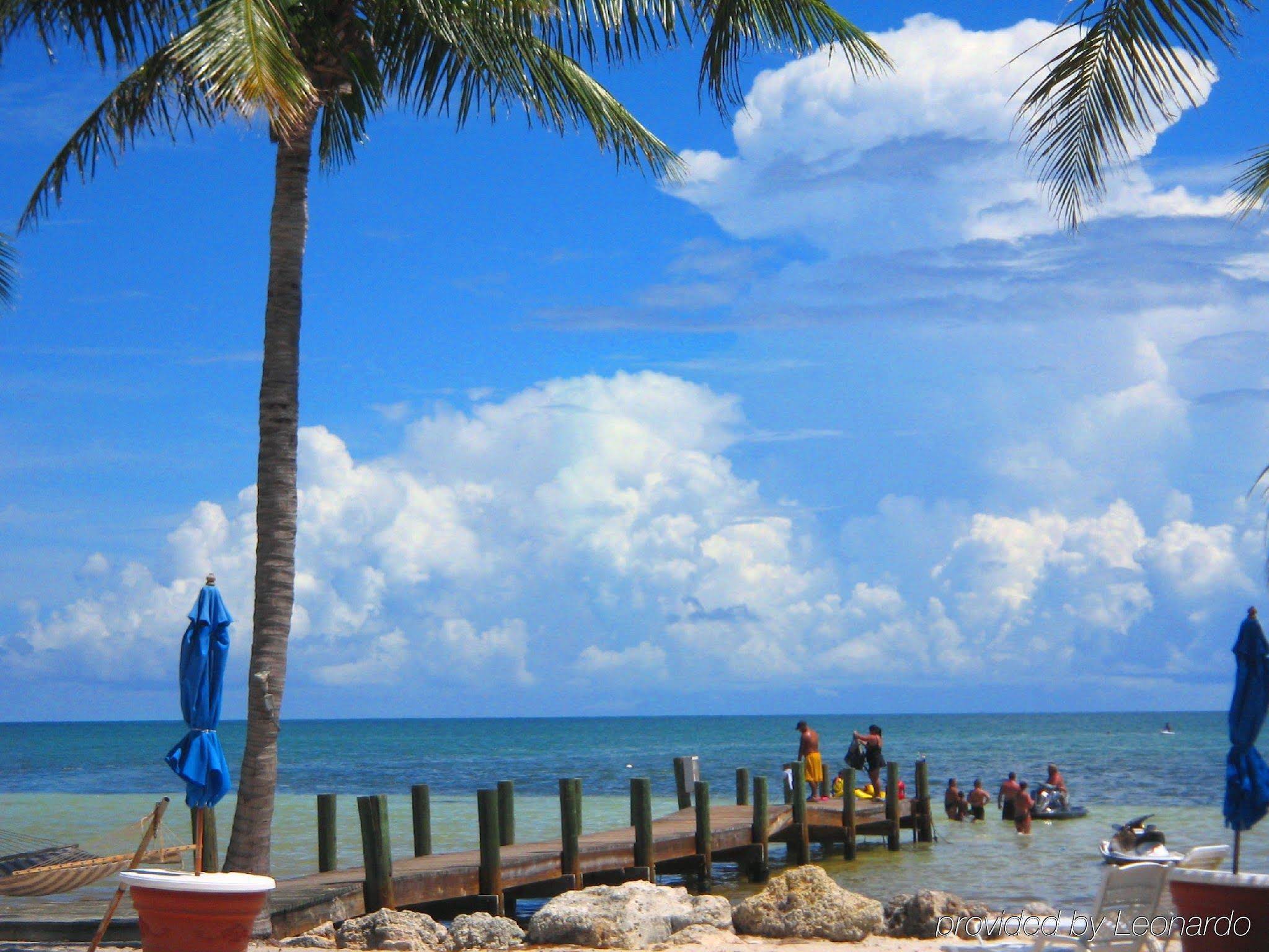 Bonefish Resort - photo 4