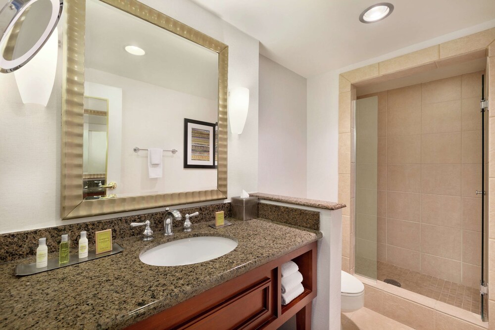 DoubleTree by Hilton Hotel Albuquerque - photo 29